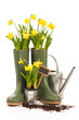 Spring Planting
