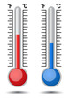 Thermometer