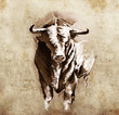 Sketch of tattoo art, spanish bull, dangerous bull with beaked h