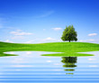 Mother Nature