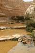 Ein Avdat canyon, Israel Ein Avdat canyon, Israel