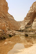 Ein Avdat canyon, Israel Ein Avdat canyon, Israel