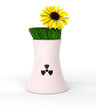 no nuclear energy