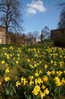 Frühling in Dresden