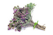 rosemary