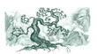 bonsai
