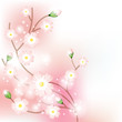 Colorful background with tree blossoming brunch
