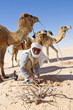 Foto: Homme cherchant des Roses des Sables Homme cherchant des Roses des Sables