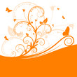 Hintergrund, abstrakt, orange, Frühling, Flora, geschwungen