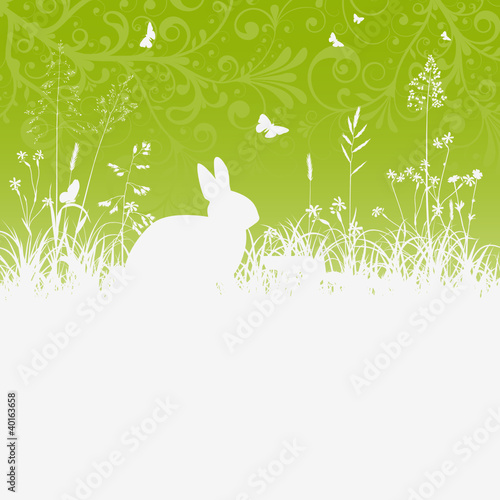 Vektor: Ostern, Osterhase, Kaninchen, Gras, Blumenwiese, Kräuterwiese Ostern, Osterhase, Kaninchen, Gras, Blumenwiese, Kräuterwiese