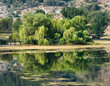 Trees Reflection On The Lake Trees Reflection On The Lake