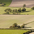 Photo: South Downs patchwork fields South Downs patchwork fields