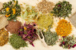 healing herbs on wooden table