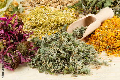 Photo: healing herbs on wooden table, herbal medicine healing herbs on wooden table, herbal medicine
