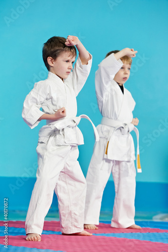 Photo: two boys make karate exercises two boys make karate exercises
