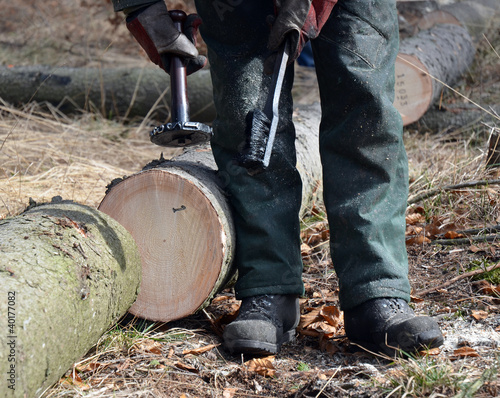 Photo: Lumberjack marking timber logs Lumberjack marking timber logs
