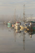 Steveston Harbor, Morning Fog Steveston Harbor, Morning Fog