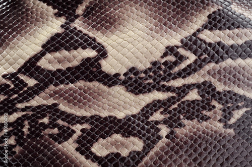 Photo: Snakeskin Snakeskin