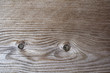 Holzwand mit schöner Zeichnung