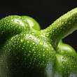Green fresh paprika with drops of water