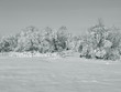 The picture of a winter landscape The picture of a winter landscape