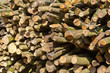 Log Pile