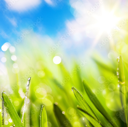 Photo: abstracts of natural spring green background abstracts of natural spring green background