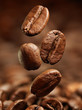 Foto: Closeup of coffee beans Closeup of coffee beans
