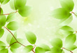 Green Background. Vector Illustration Green Background. Vector Illustration