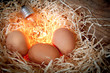 Foto: cova con lampadina cova con lampadina