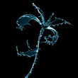 Flower made of water splashes isolated on black Flower made of water splashes isolated on black