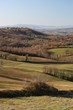 Collina