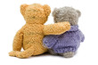 Back view of two Teddy bears hugging each other over white
