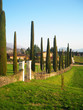 Garden in France. Garden in France.