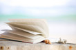 Ein Buch am Strand lesen