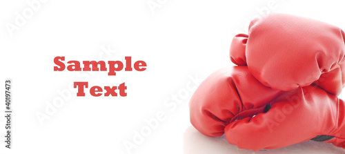 Photo: Boxing Gloves with Space for Custom Text on White Boxing Gloves with Space for Custom Text on White