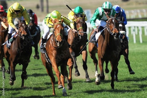 Photo: course hippique course hippique