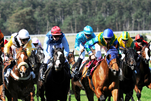Photo: course hippique course hippique