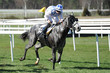 hippisme