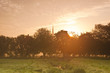 Water meadows dawn