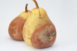Moldy pear
