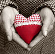canvas print picture - heart in old hands
