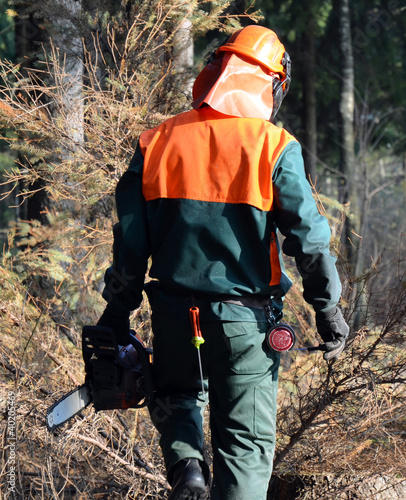 Photo: Lumberjack, chainsaw, walking Lumberjack, chainsaw, walking