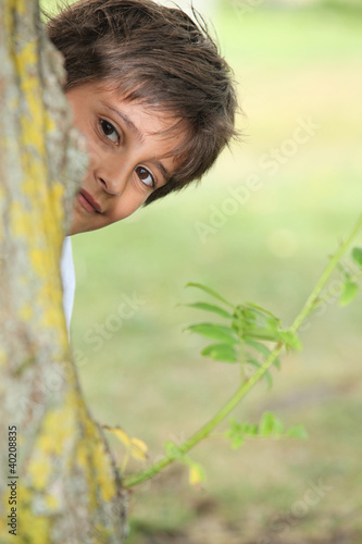 Photo: Young boy playing peek a boo around a tree Young boy playing peek a boo around a tree