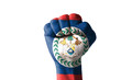 Fist painted in colors of belize flag