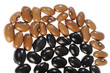 beans on white background
