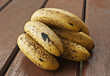Branch Of Bananas