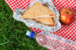 canvas print picture - Picnic lunch