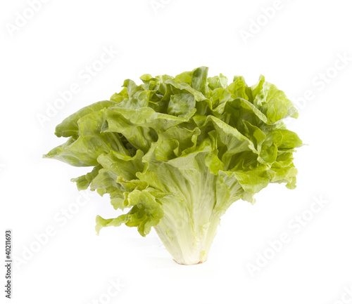 Photo: Lettuce isolated on white background Lettuce isolated on white background