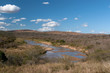 Foto: River in dry season. River in dry season.